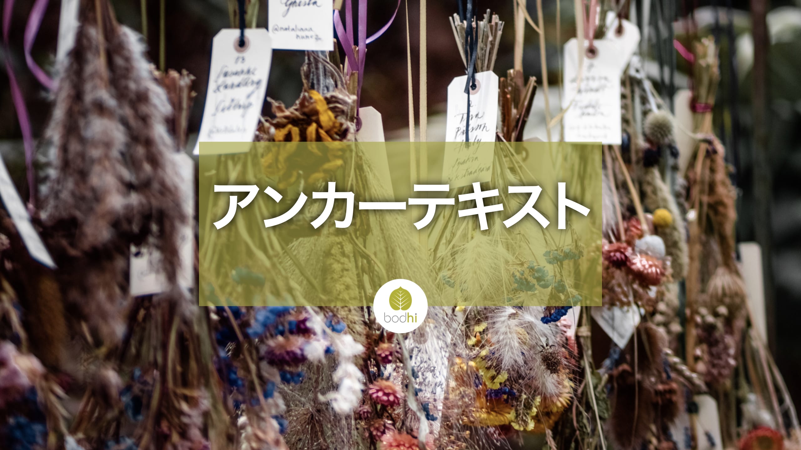 記事 | ボーディー SEO