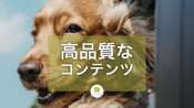 有用で信頼できる高品質なコンテンツとは