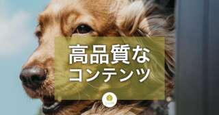 有用で信頼できる高品質なコンテンツとは