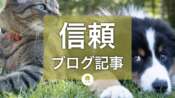 会社ブログは「企業の顔」信頼される情報発信の心構えと注意点
