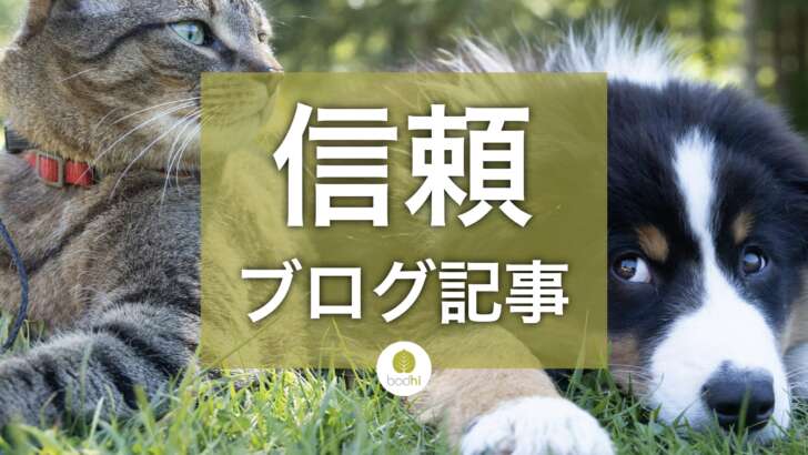 会社ブログは「企業の顔」信頼される情報発信の心構えと注意点